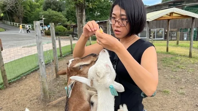 結婚相談所ラポールアンカー