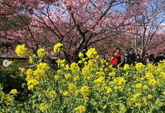 静岡の結婚相談所観光