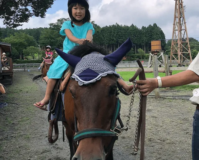 静岡の結婚相談所観光