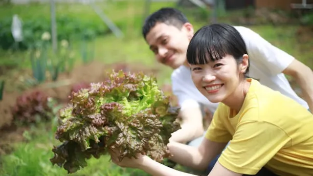 茨城県は魅力度最下位だった理由！本当は豊かな茨城県の実力