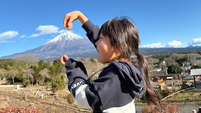 ラポールアンカー