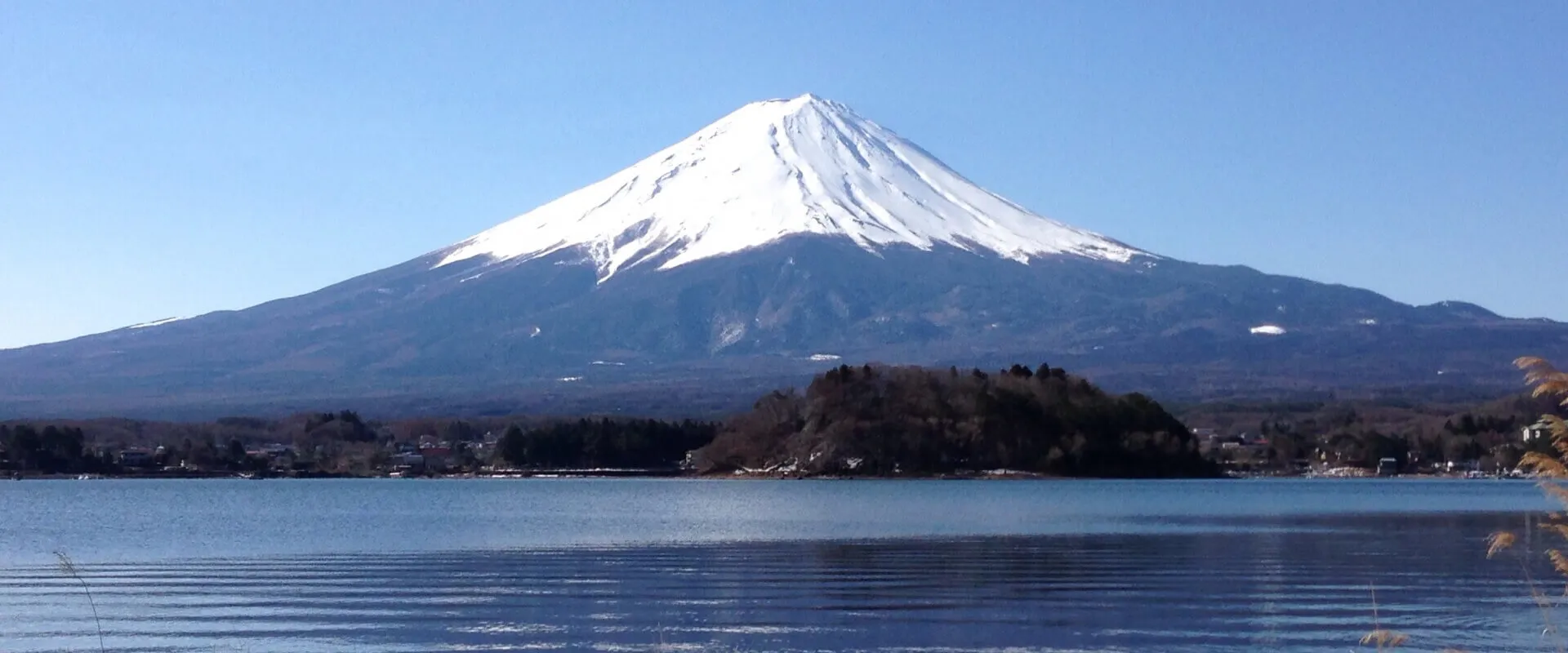 富士の結婚相談所