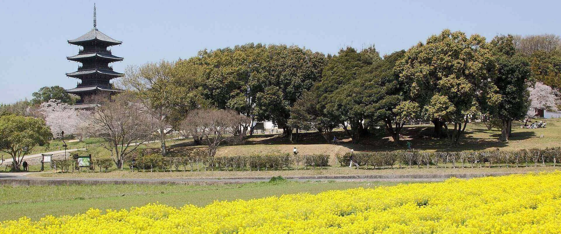 岡山の結婚相談所